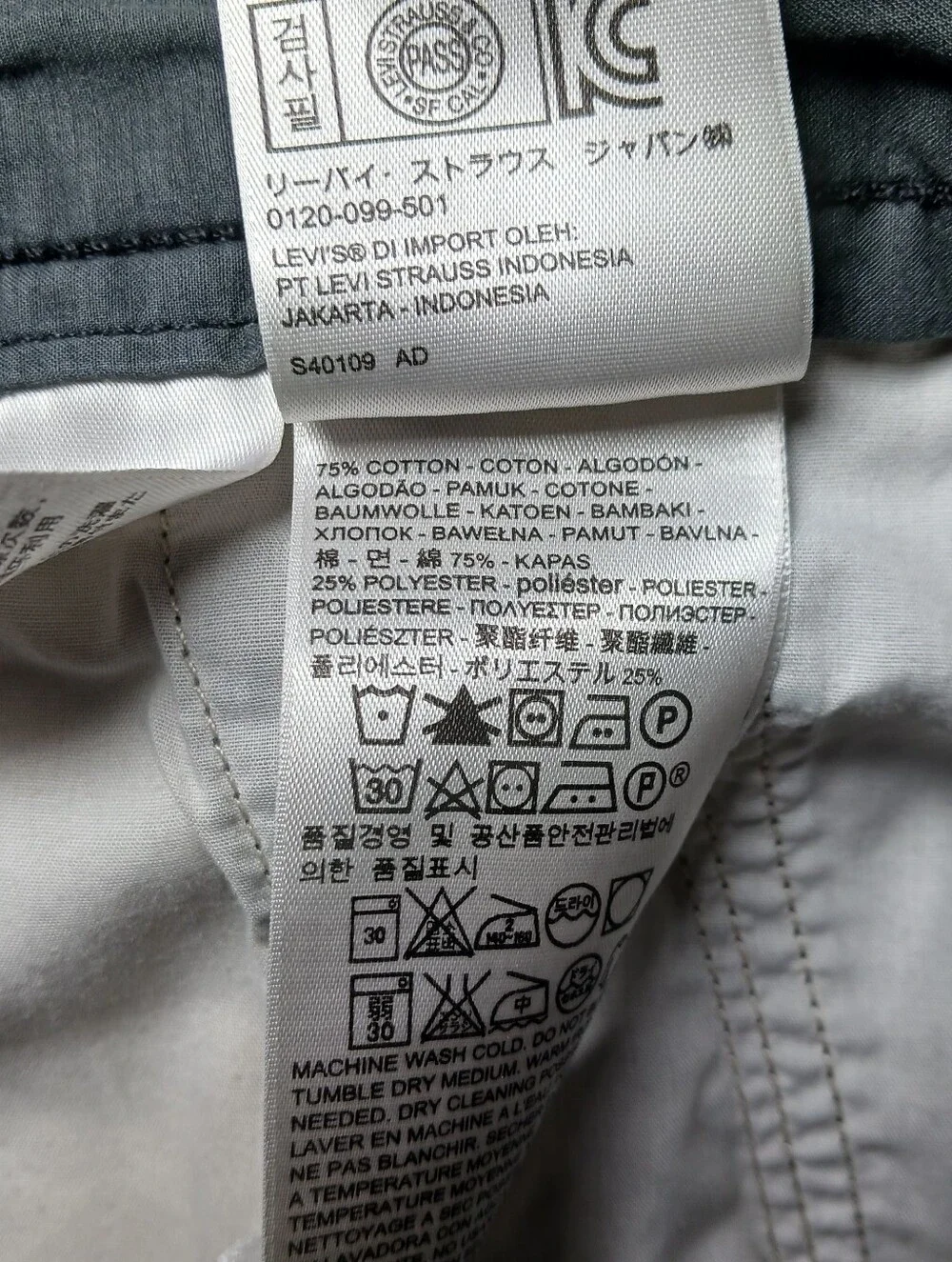Levis levi cargo